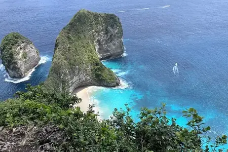 Kelingking cliffs and turquoise bay on Nusa Penida